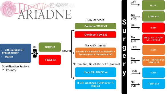 ARIADNE trial overview