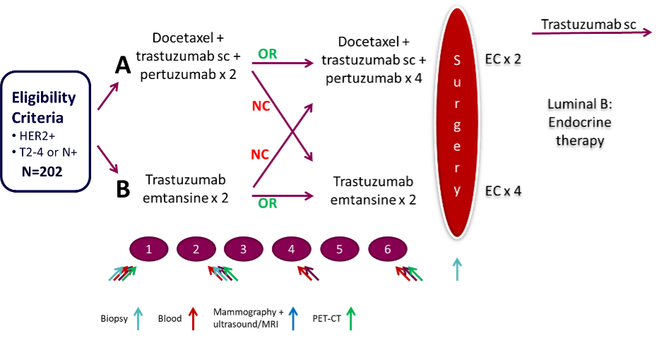 PREDIX HER2 trial overview