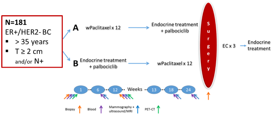 PREDIX LumB trial overview
